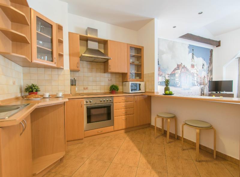 Old Town Slawkowska Apartment Krakow